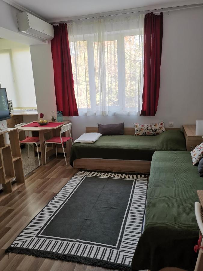 4 Seasons Apartments, A2 بلوفديف المظهر الخارجي الصورة